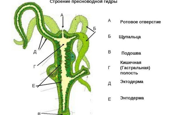 Не приходят деньги на кракен