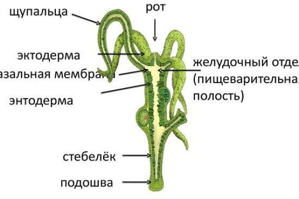 Что случилось с кракеном сайт